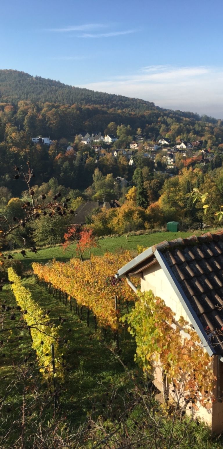 nachhaltig Natur Wirtschaft Erfolg